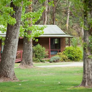 Beechworth Holiday Park